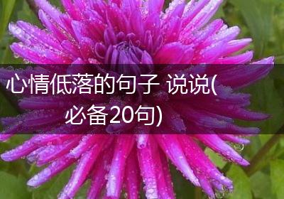 心情低落的句子 说说(必备20句)