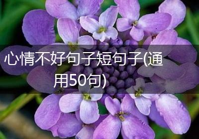 心情不好句子短句子(通用50句)