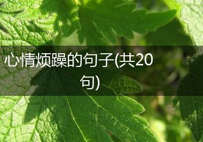 心情烦躁的句子(共20句)