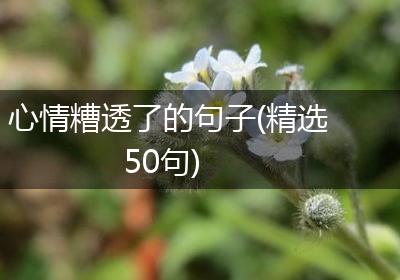 心情糟透了的句子(精选50句)