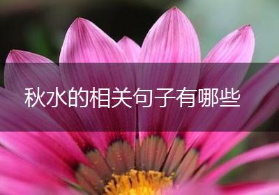 秋水的相关句子有哪些