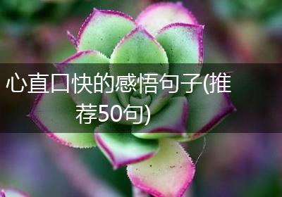 心直口快的感悟句子(推荐50句)