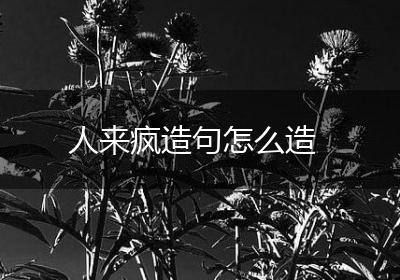 人来疯造句怎么造