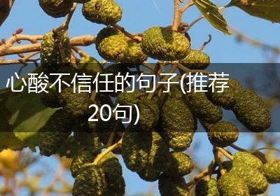 心酸不信任的句子(推荐20句)