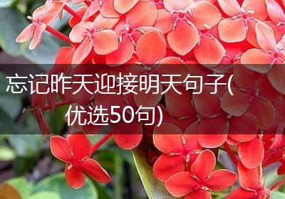 忘记昨天迎接明天句子(优选50句)