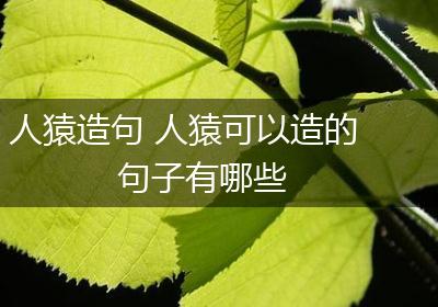 人猿造句 人猿可以造的句子有哪些