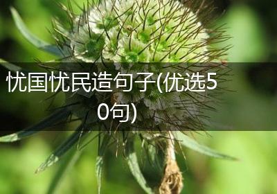 忧国忧民造句子(优选50句)