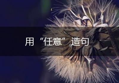 用“任意”造句