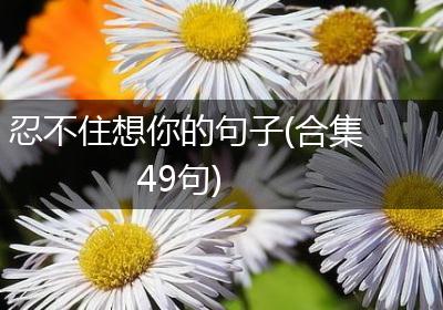 忍不住想你的句子(合集49句)