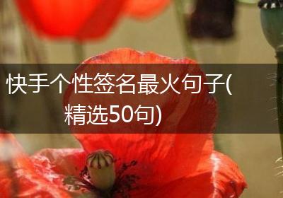 快手个性签名最火句子(精选50句)