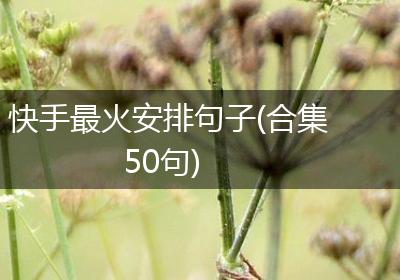 快手最火安排句子(合集50句)