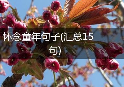 怀念童年句子(汇总15句)