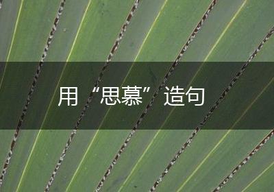 用“思慕”造句