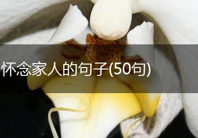 怀念家人的句子(50句)
