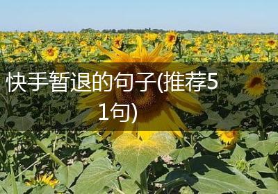 快手暂退的句子(推荐51句)
