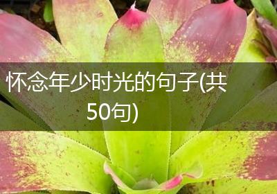 怀念年少时光的句子(共50句)