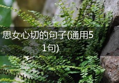 思女心切的句子(通用51句)