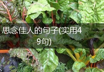 思念佳人的句子(实用49句)