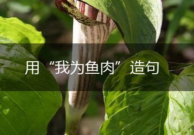 用“我为鱼肉”造句