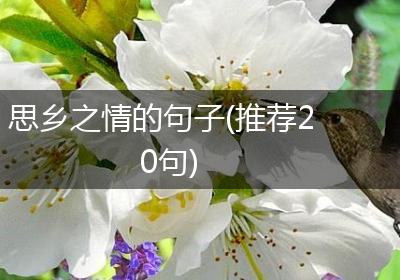 思乡之情的句子(推荐20句)