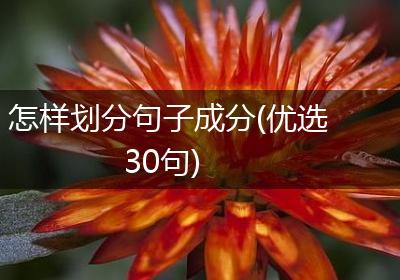 怎样划分句子成分(优选30句)