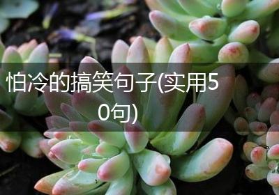 怕冷的搞笑句子(实用50句)