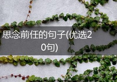 思念前任的句子(优选20句)