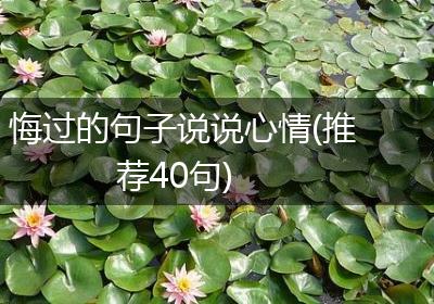 悔过的句子说说心情(推荐40句)