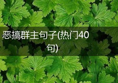 恶搞群主句子(热门40句)
