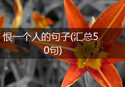 恨一个人的句子(汇总50句)