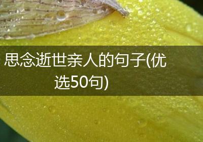 思念逝世亲人的句子(优选50句)
