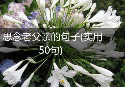 思念老父亲的句子(实用50句)