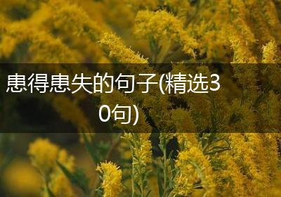 患得患失的句子(精选30句)