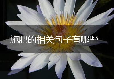 施肥的相关句子有哪些