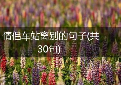 情侣车站离别的句子(共30句)