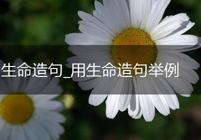 生命造句_用生命造句举例