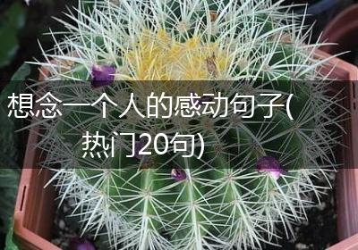 想念一个人的感动句子(热门20句)