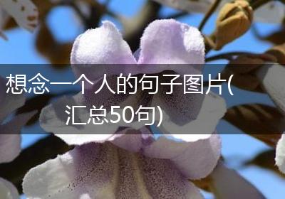 想念一个人的句子图片(汇总50句)