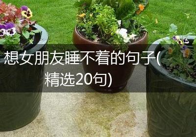 想女朋友睡不着的句子(精选20句)