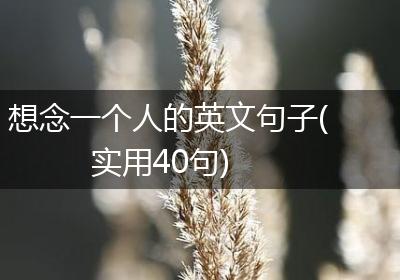 想念一个人的英文句子(实用40句)