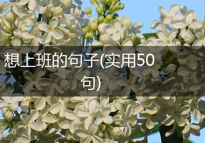 想上班的句子(实用50句)