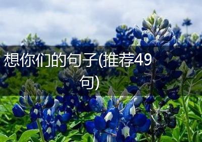 想你们的句子(推荐49句)