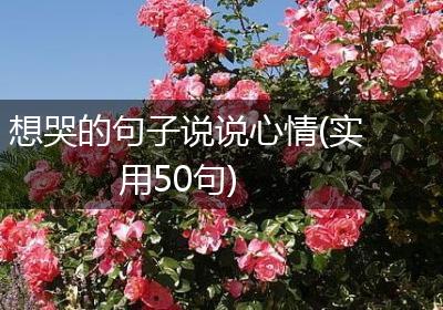 想哭的句子说说心情(实用50句)