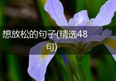 想放松的句子(精选48句)