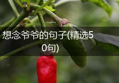 想念爷爷的句子(精选50句)