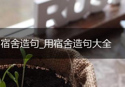 宿舍造句_用宿舍造句大全