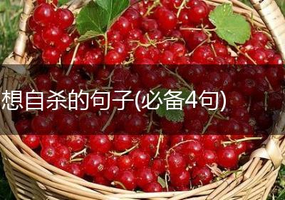 想自杀的句子(必备4句)