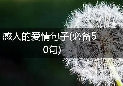 感人的爱情句子(必备50句)