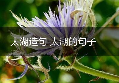 太湖造句 太湖的句子