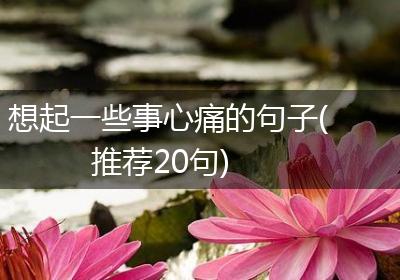 想起一些事心痛的句子(推荐20句)
